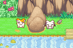 screenshots/Game Boy Advance/Hamtaro - Ham-Ham Heartbreak/Hamtaro - Ham-Ham Heartbreak (Eng) 006.png